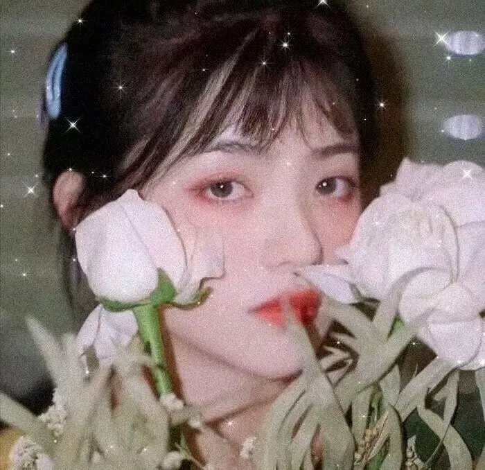 经典咏流传第二季